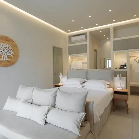 Aparthotel Kedros Agios Prokopios (Naxos)