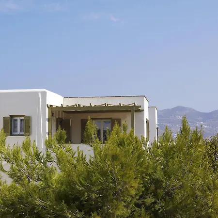 Apartahotel Kedros Agios Prokopios (Naxos)