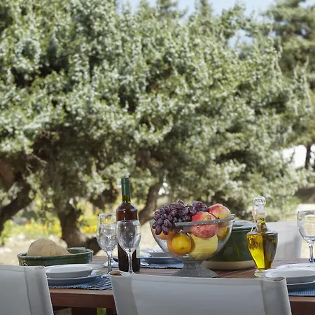 Aparthotel Kedros 4*