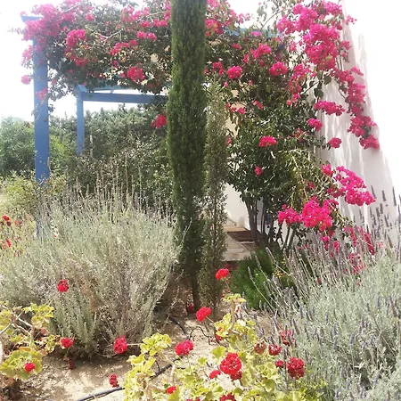 Kedros Apartmanhotel