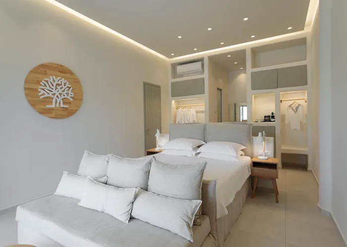 Aparthotel Kedros Agios Prokopios (Naxos)