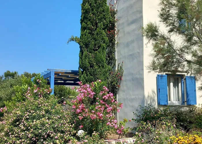 Kedros Agios Prokopios (Naxos)