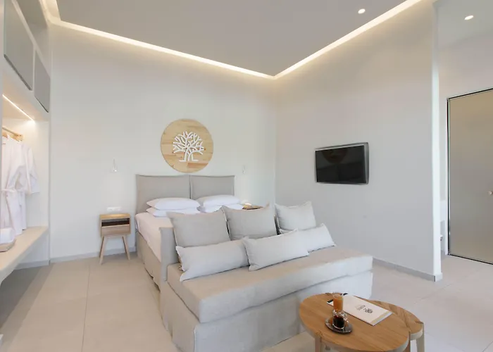 Aparthotel Kedros Agios Prokopios (Naxos)